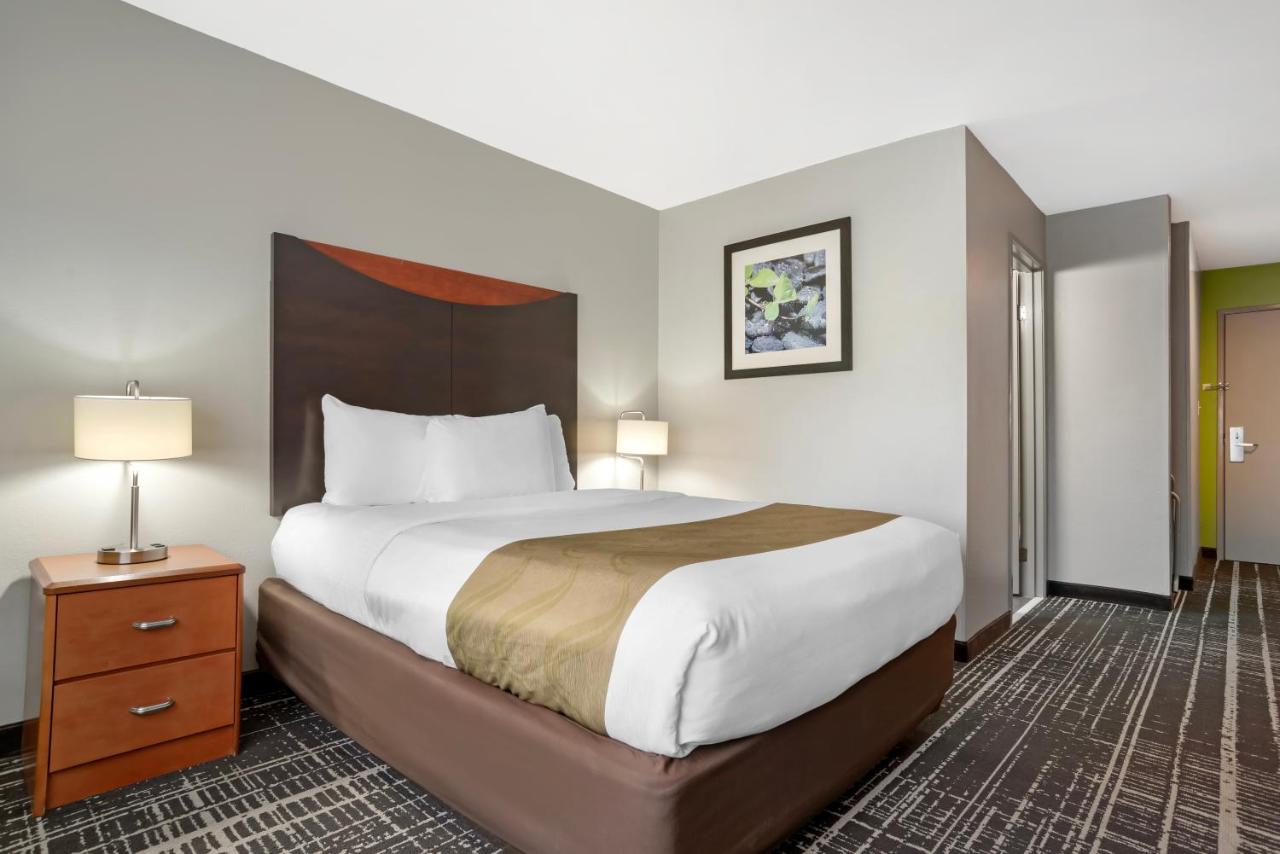 Double Room - Non-Smoking at Quality Inn & Suites Birmingham - Highway 280