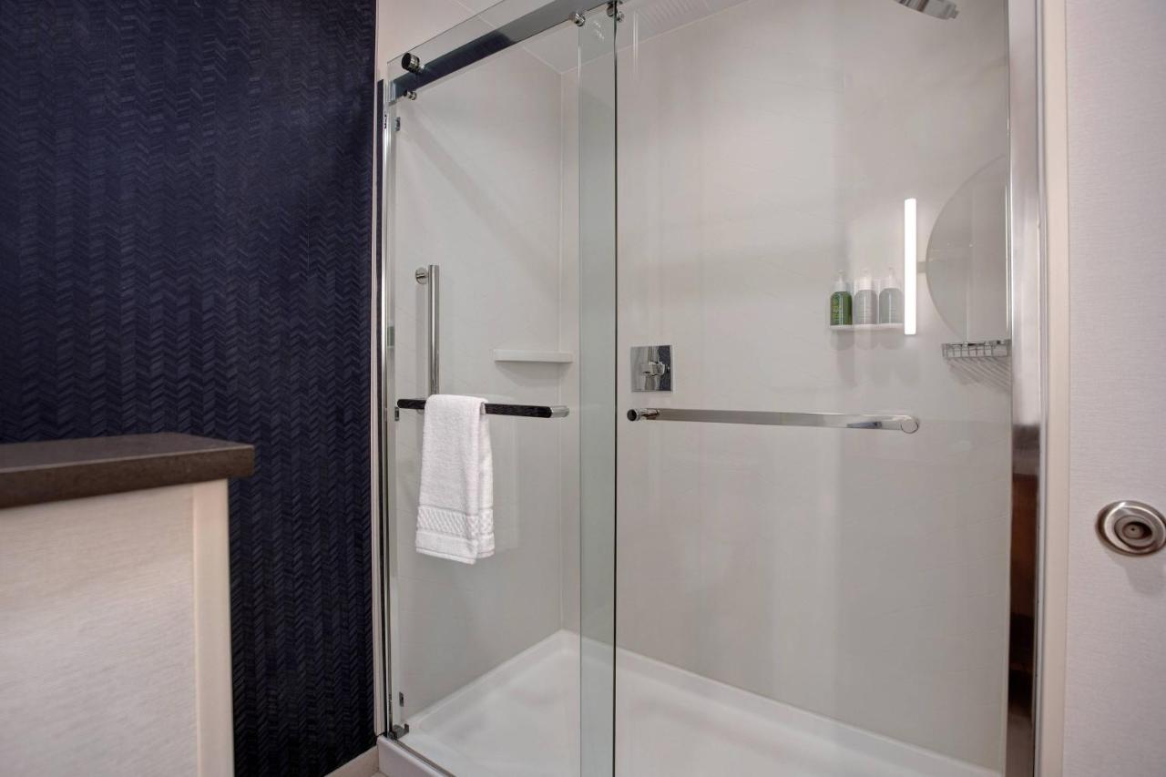 Suite, 1 King, Sofa bed at Fairfield Inn & Suites by Marriott Chicago Bolingbrook