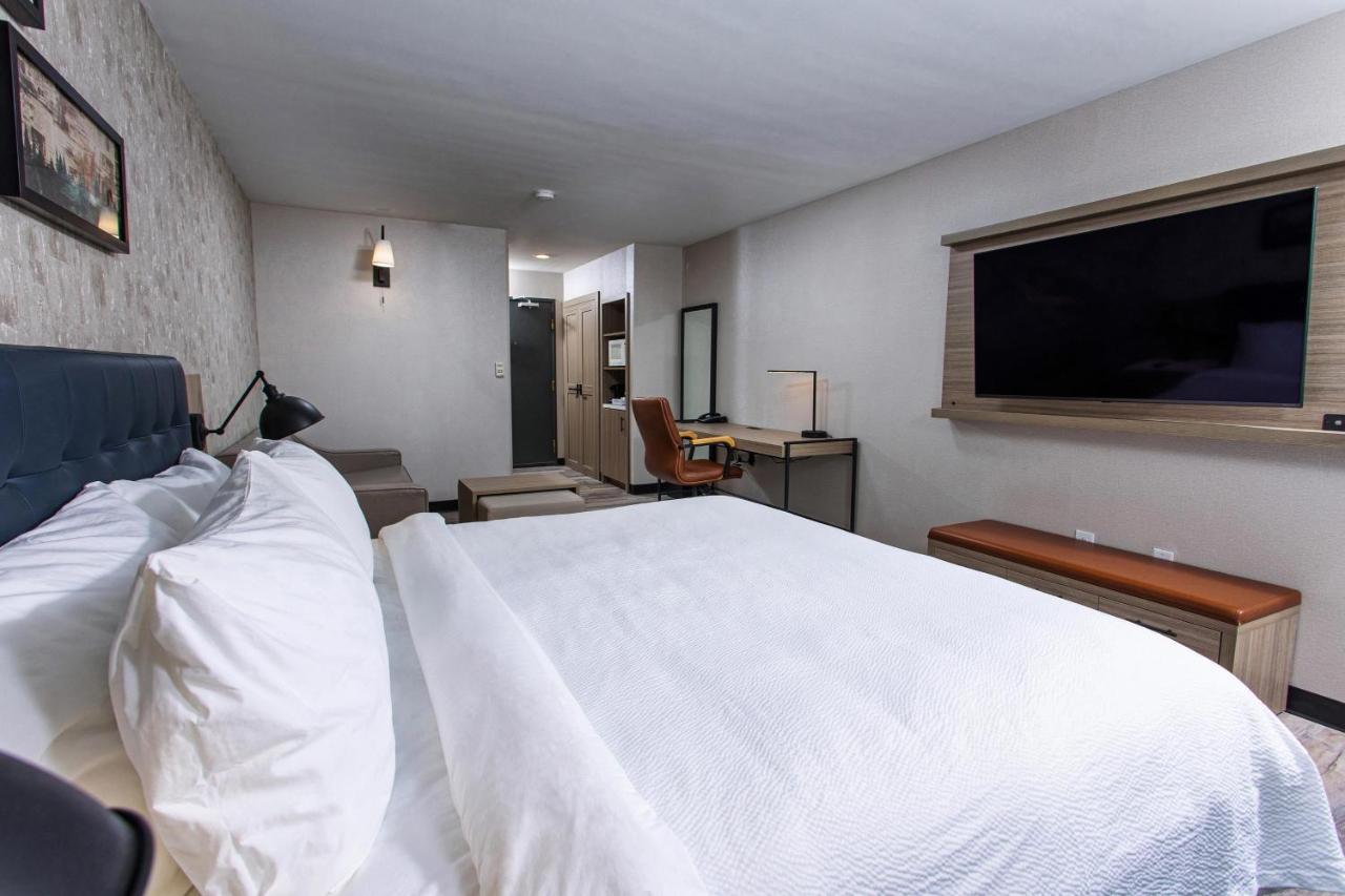 Traditional Guest Room with 1 King, Sofa bed at Four Points by Sheraton Appleton