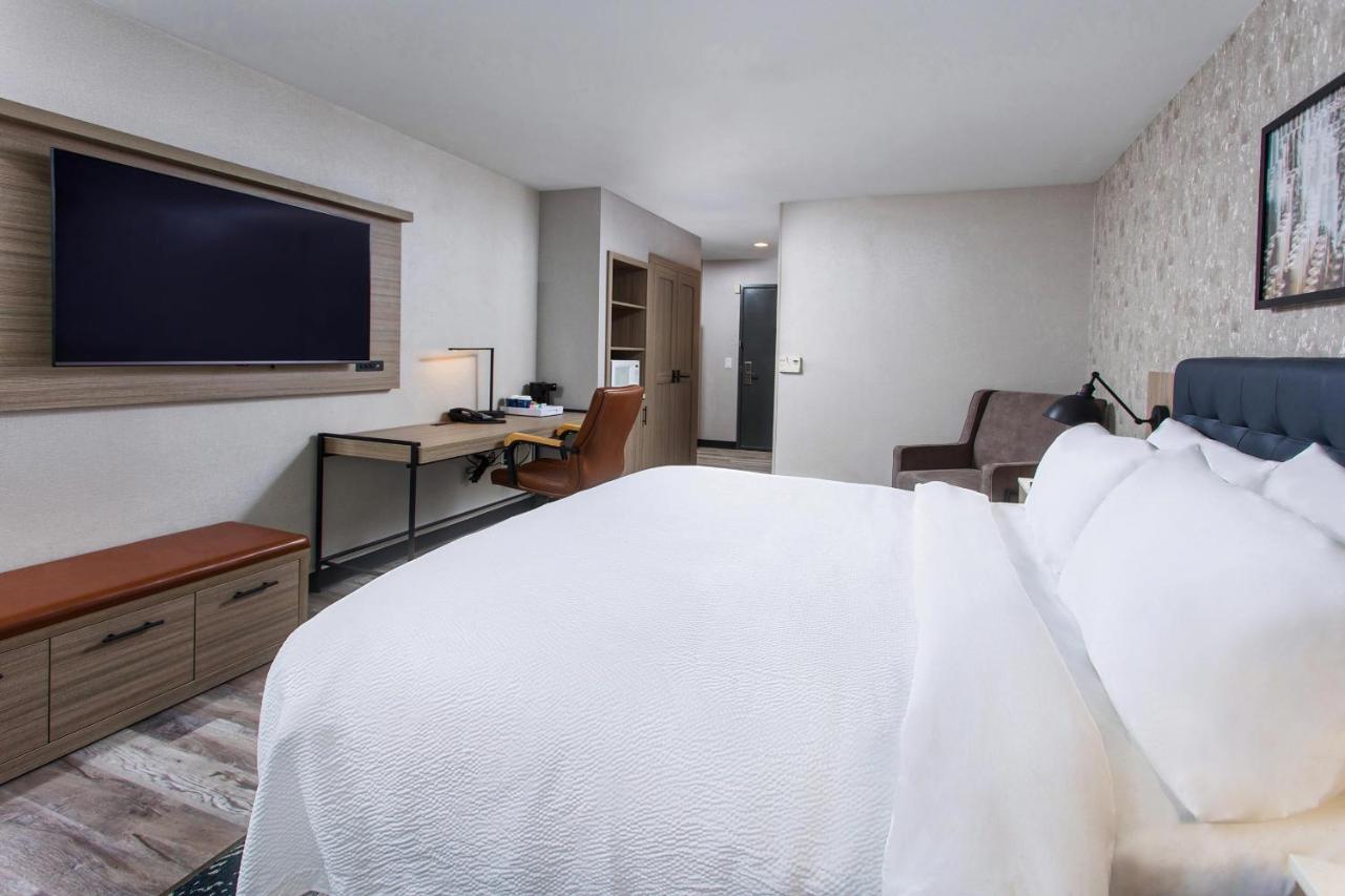 Traditional Guest Room with 1 King, Sofa bed at Four Points by Sheraton Appleton
