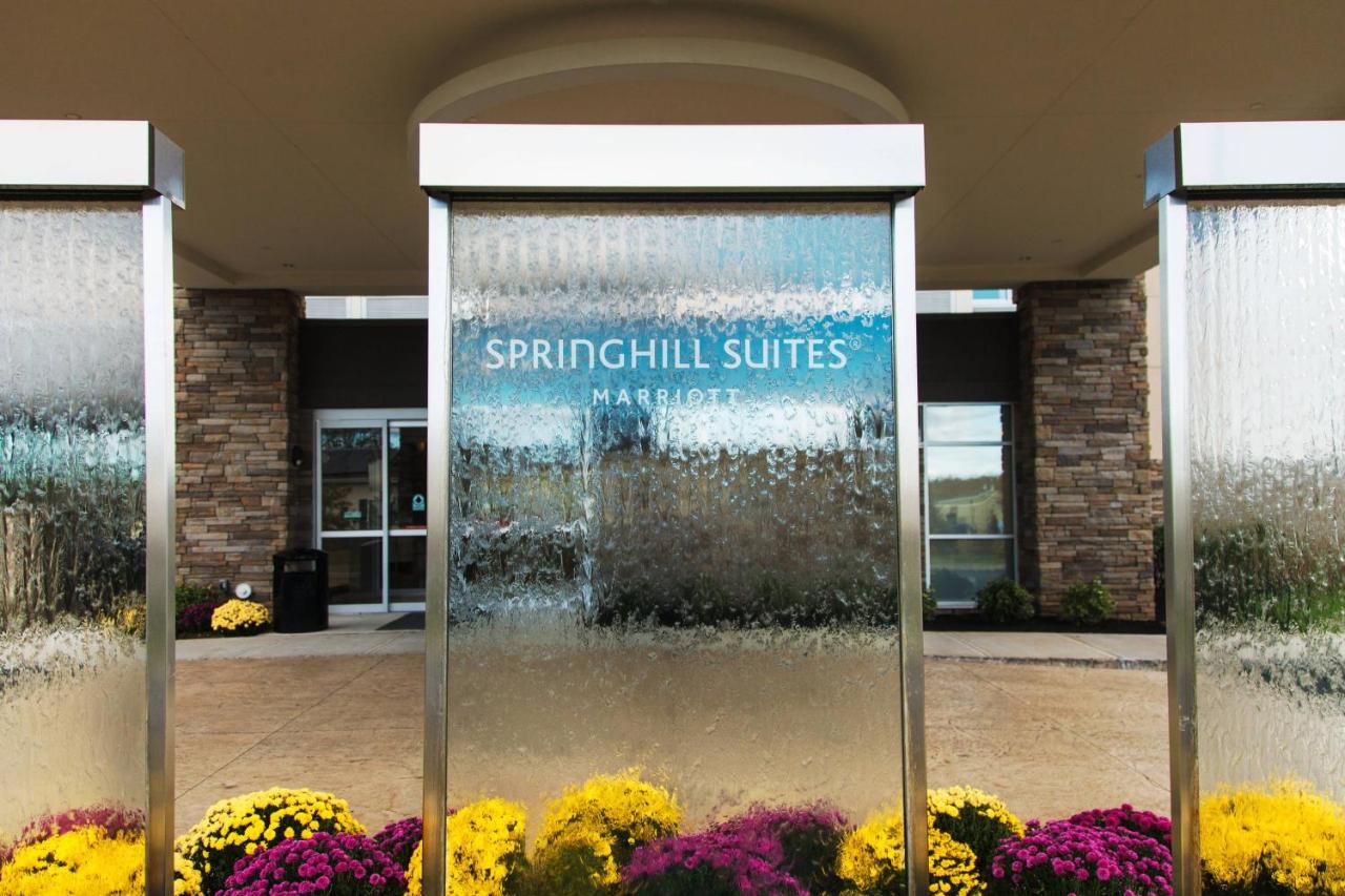 | Springhill Suites Somerset Franklin Township