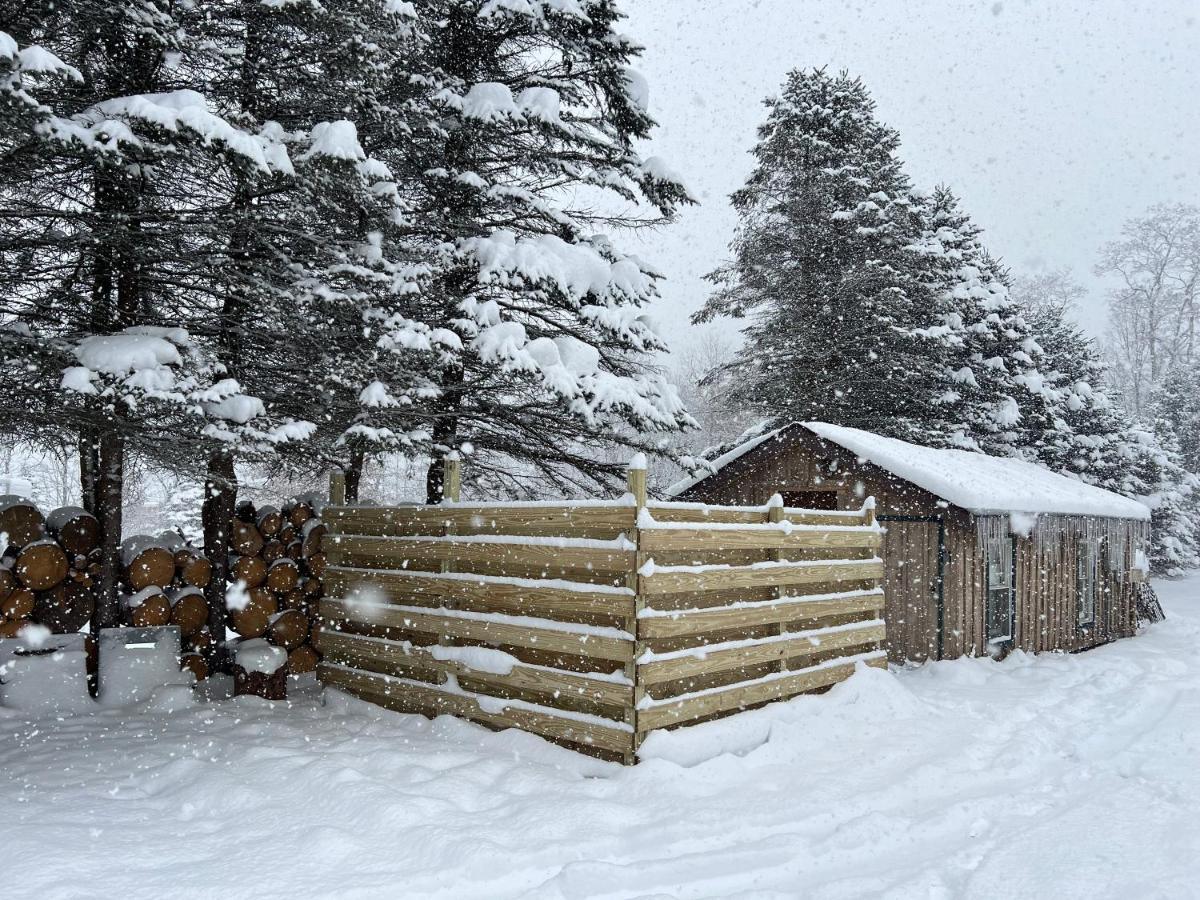 | Timberline Lodge