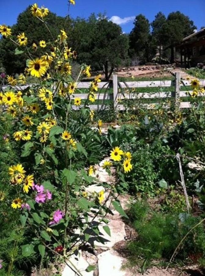 | Boulder Mountain Guest Ranch