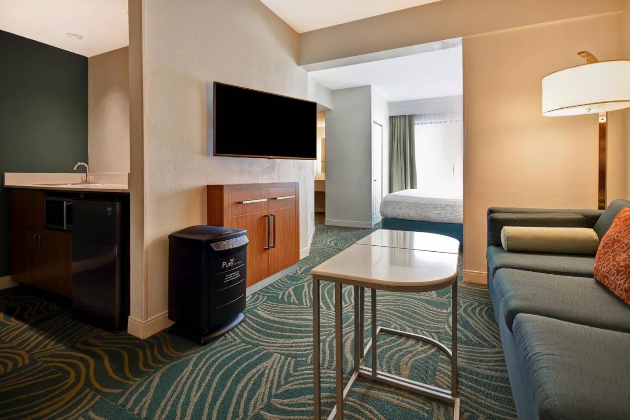 King Guest Room with Sofa Bed - Allergy Friendly at SpringHill Suites by Marriott Baltimore BWI Airport