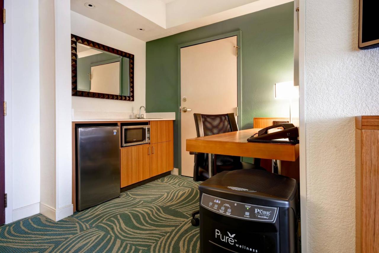 King Guest Room with Sofa Bed - Allergy Friendly at SpringHill Suites by Marriott Baltimore BWI Airport