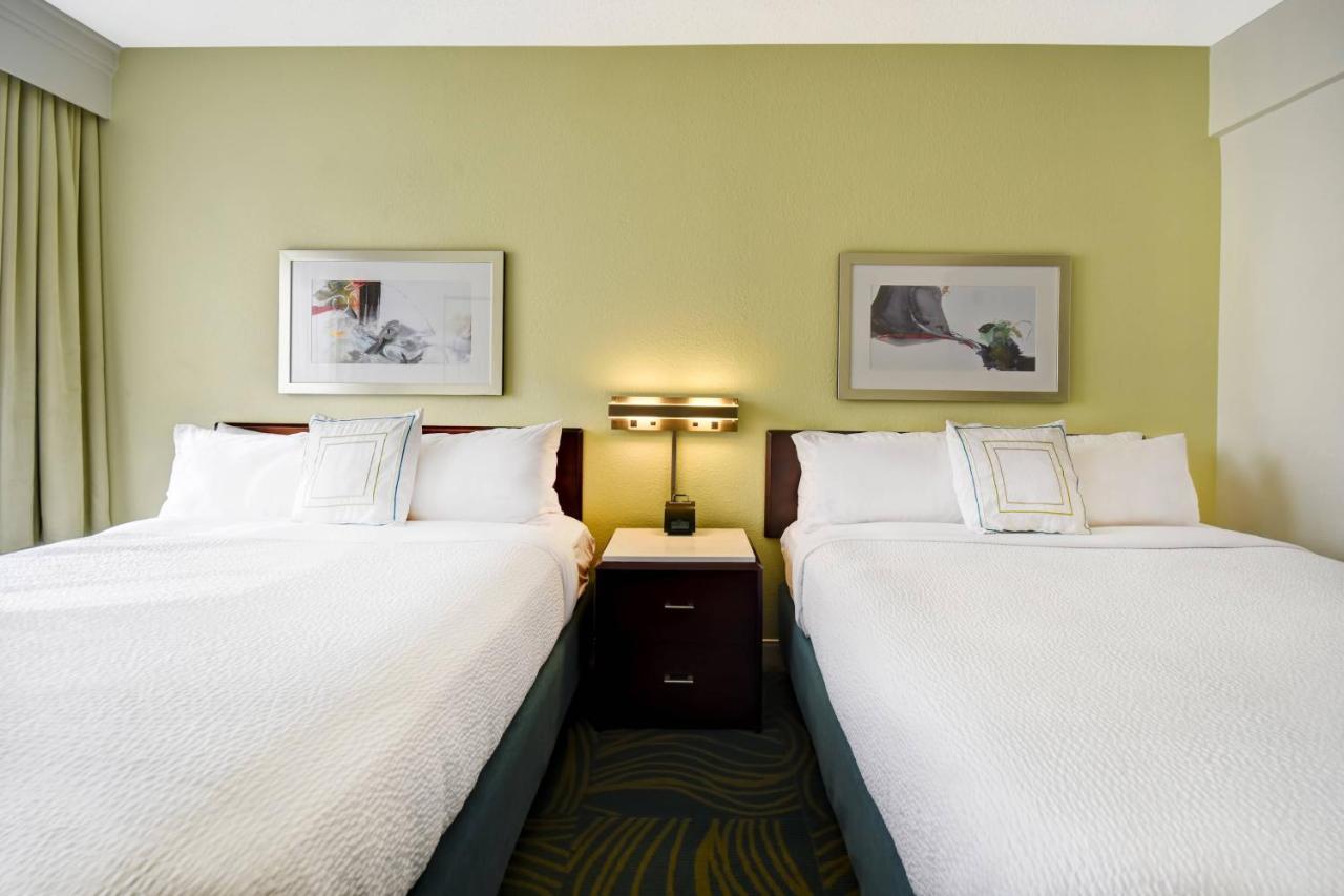 Studio, 1 King, Sofa bed at SpringHill Suites by Marriott Baltimore BWI Airport