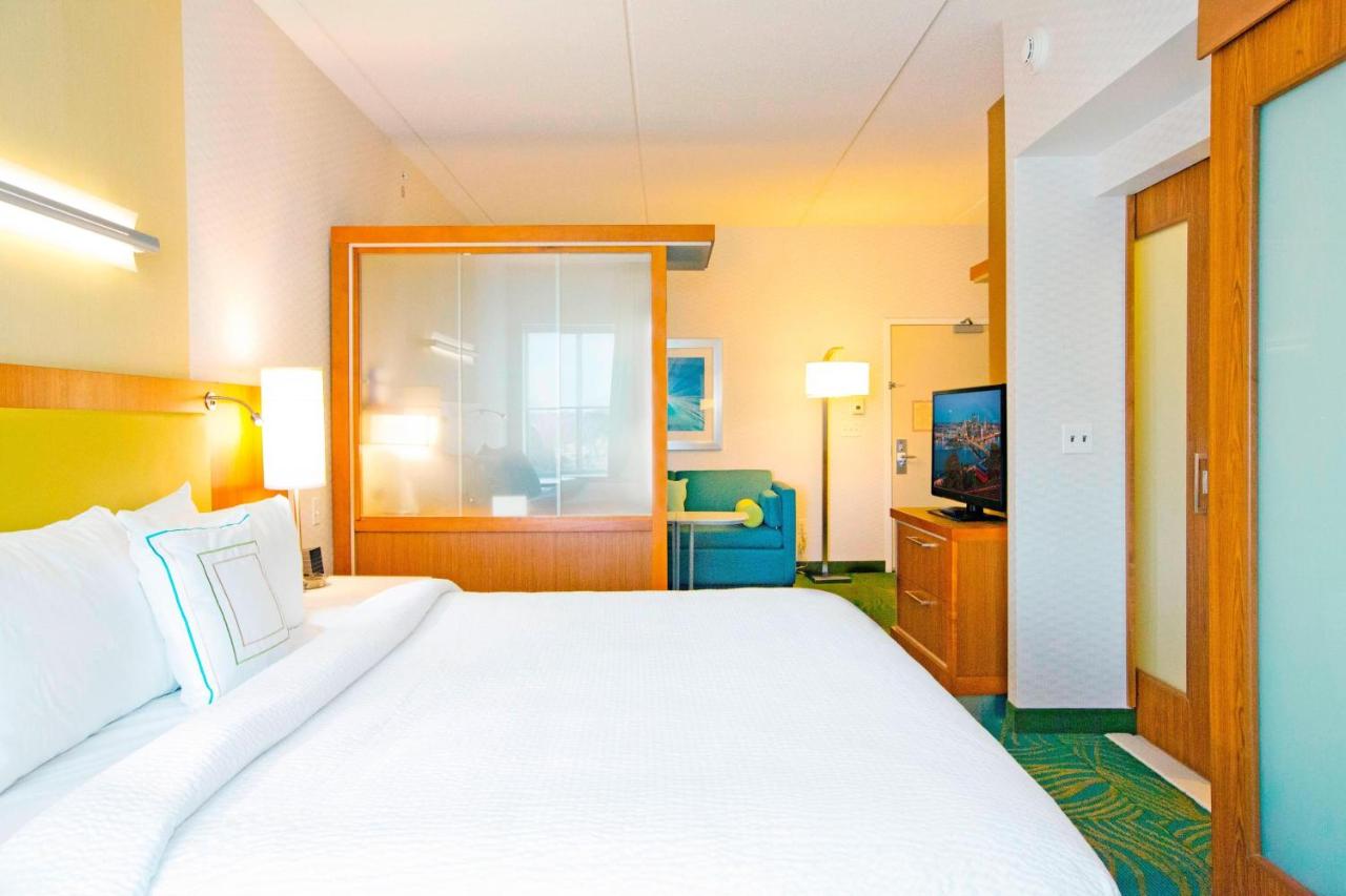 | SpringHill Suites by Marriott Pittsburgh Mt. Lebanon