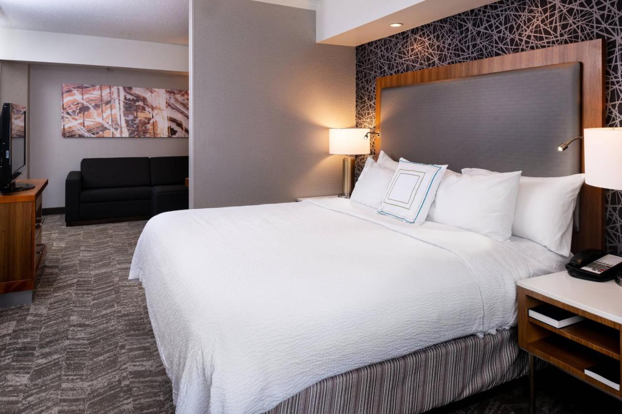King Studio with Sofa Bed at Springhill Suites by Marriott Pittsburgh North Shore