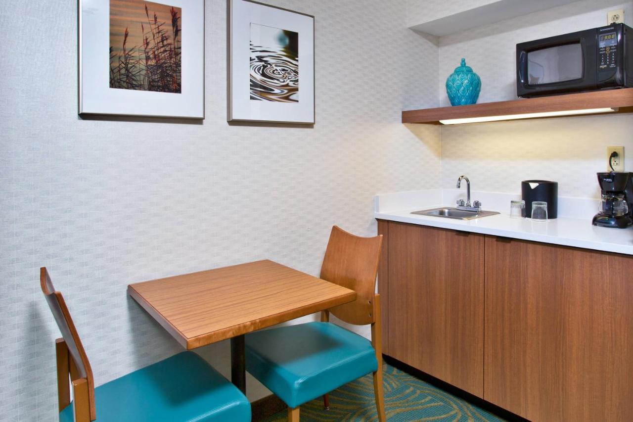 Executive King Studio with Sofa Bed at Springhill Suites by Marriott Chicago Elmhurst/Oakbrook Area