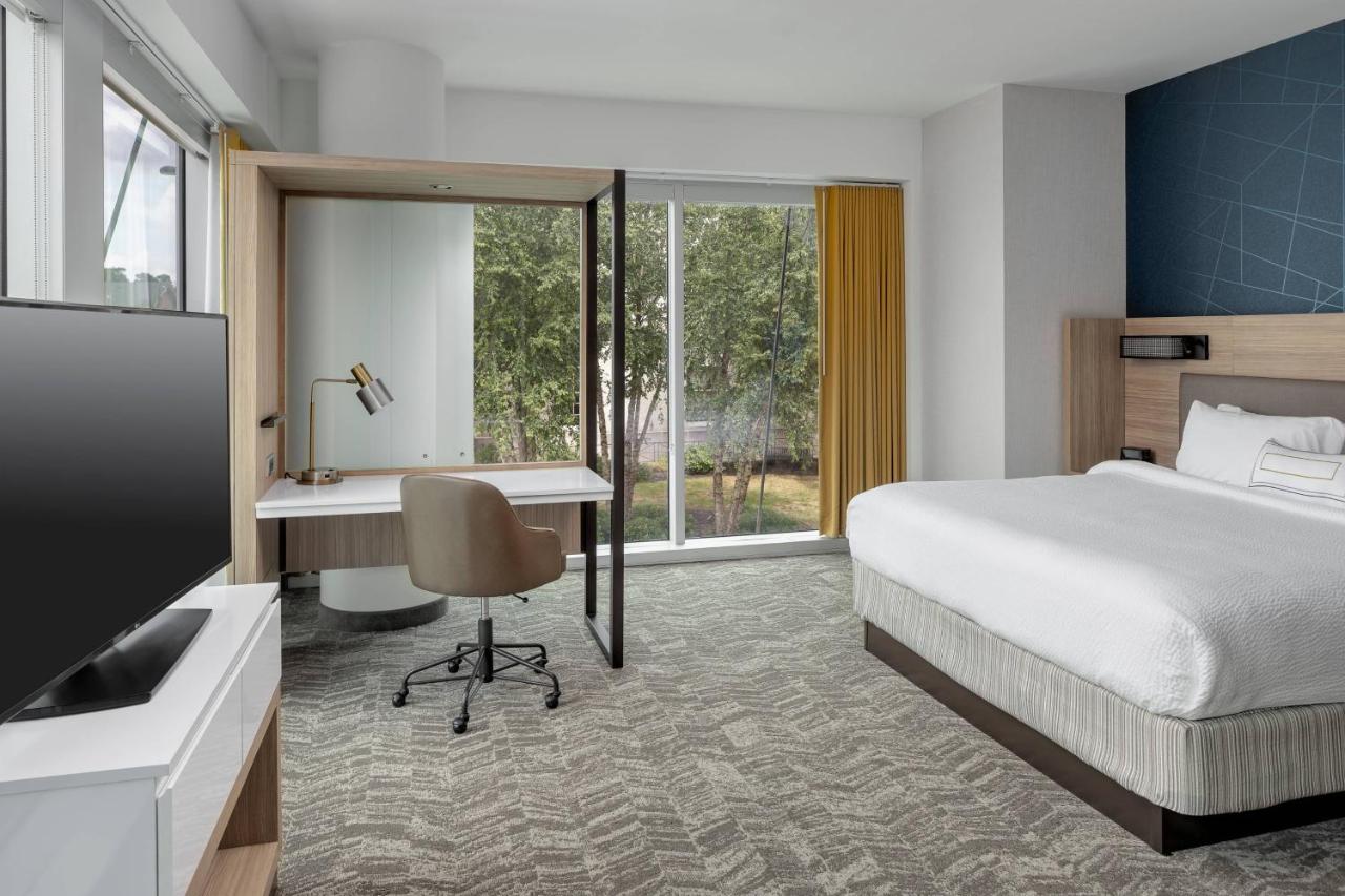 Larger King Room with Sofa Bed at SpringHill Suites by Marriott Greenville Downtown