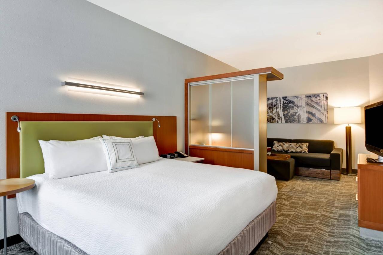 King Studio with Sofa Bed at Springhill Suites by Marriott Midtown Cincinnati