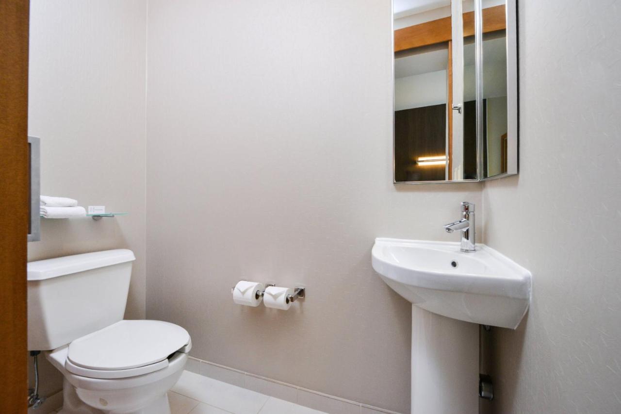 | SpringHill Suites by Marriott Ashburn Dulles North