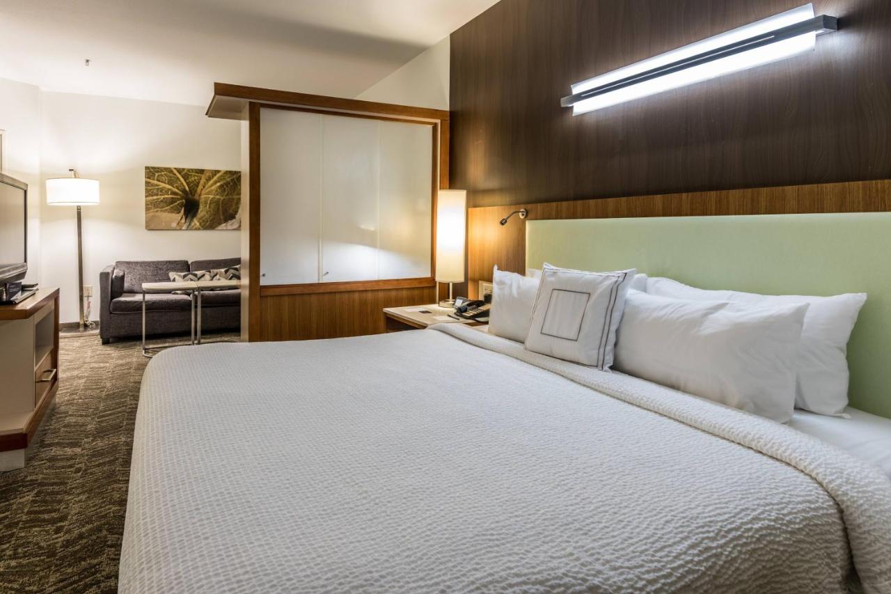 | Springhill Suites Statesboro University Area