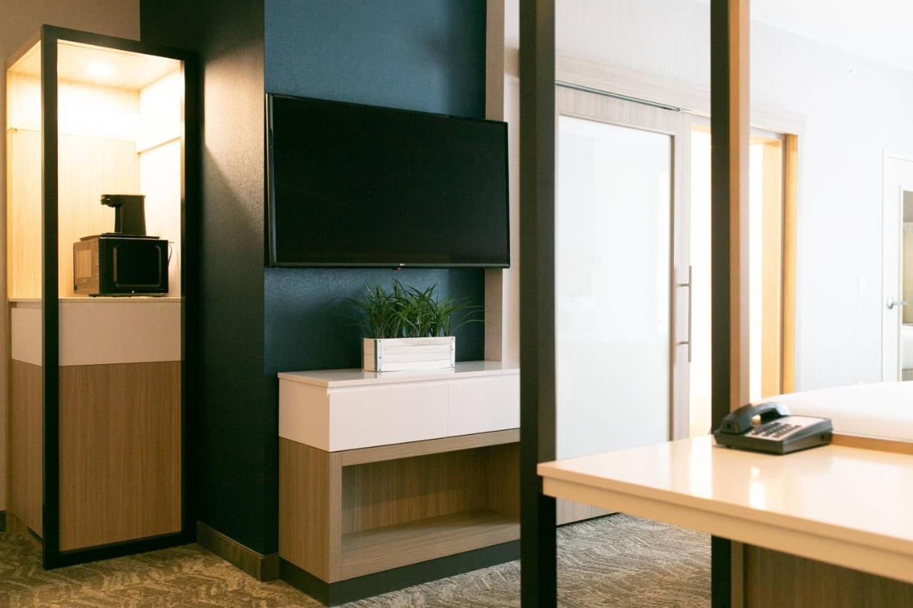 Suite, 1 King, Sofa bed at SpringHill Suites by Marriott South Bend Notre Dame Area