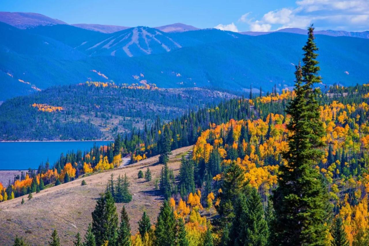 | Indigo - Silverthorne, an IHG Hotel