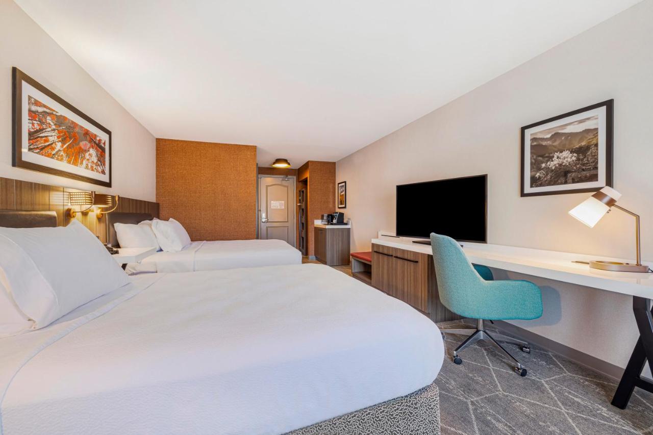 Queen Room at Hilton Garden Inn Colorado Springs Airport