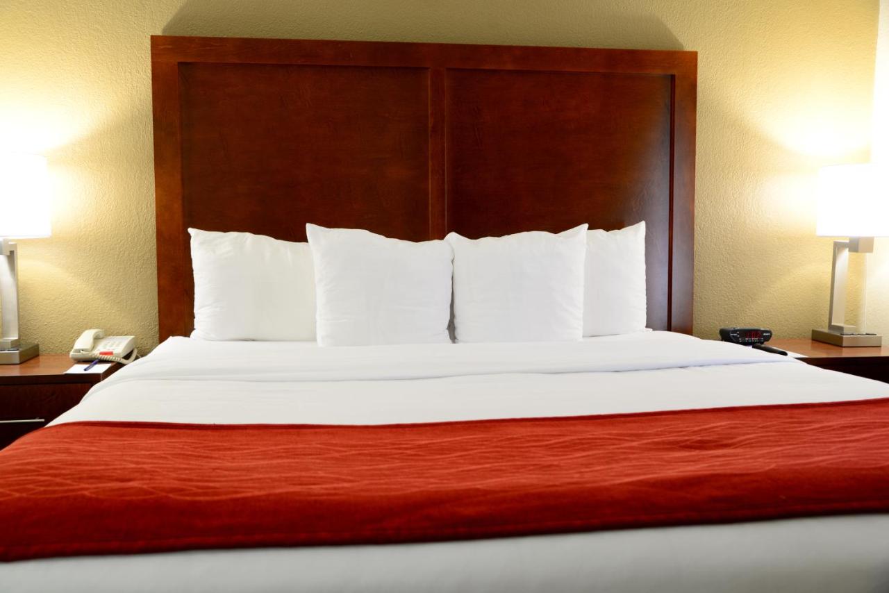 Superior King Suite - Non-Smoking at Comfort Inn University Durham - Chapel Hill