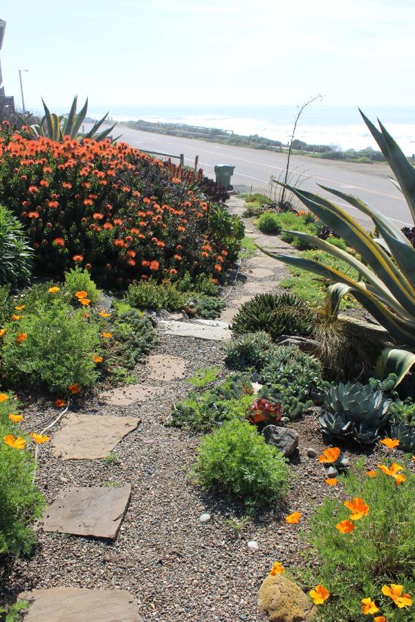 | Cambria Shores Inn