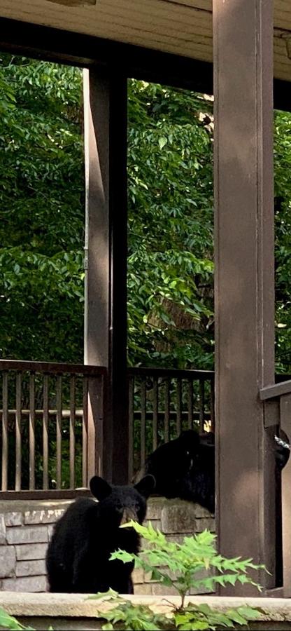 | Brookside Lodge