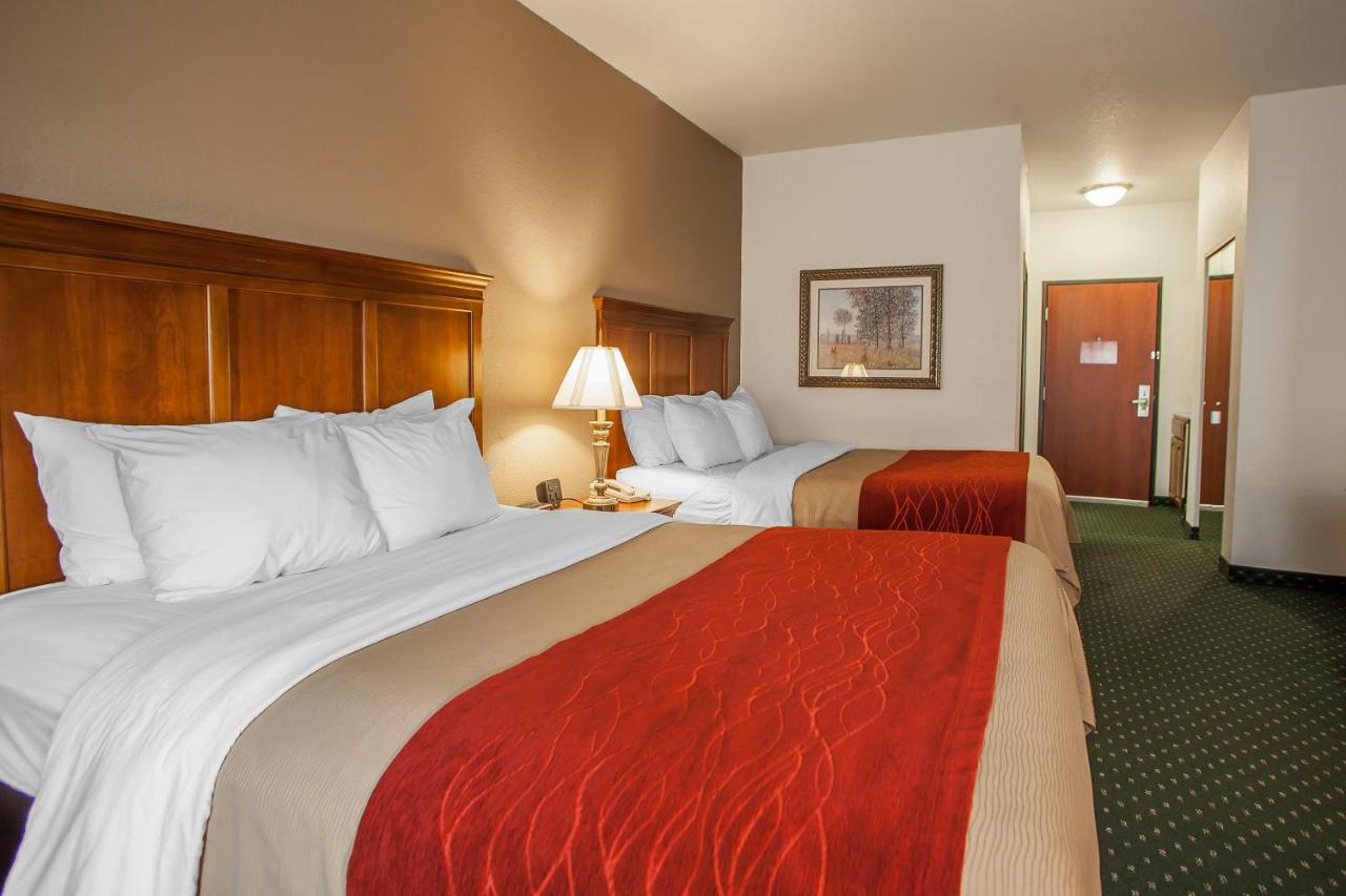 Queen Room with Two Queen Beds at Comfort Inn & Suites Davenport - Quad Cities