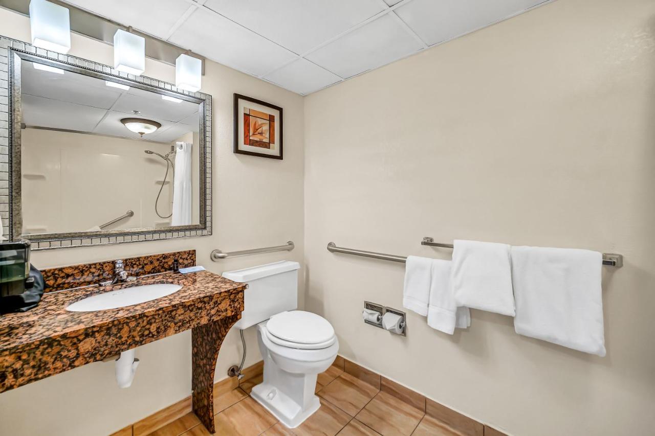 Queen Room with Roll-In Shower - Disability Access/Non-Smoking at Holiday Inn Chicago - Schaumburg by IHG