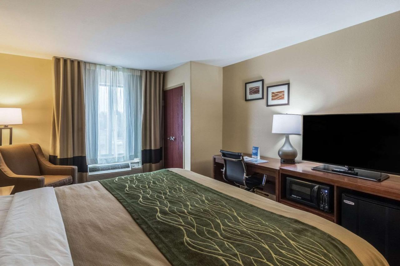 Standard King Room - Non-Smoking at Comfort Inn & Suites Panama City North