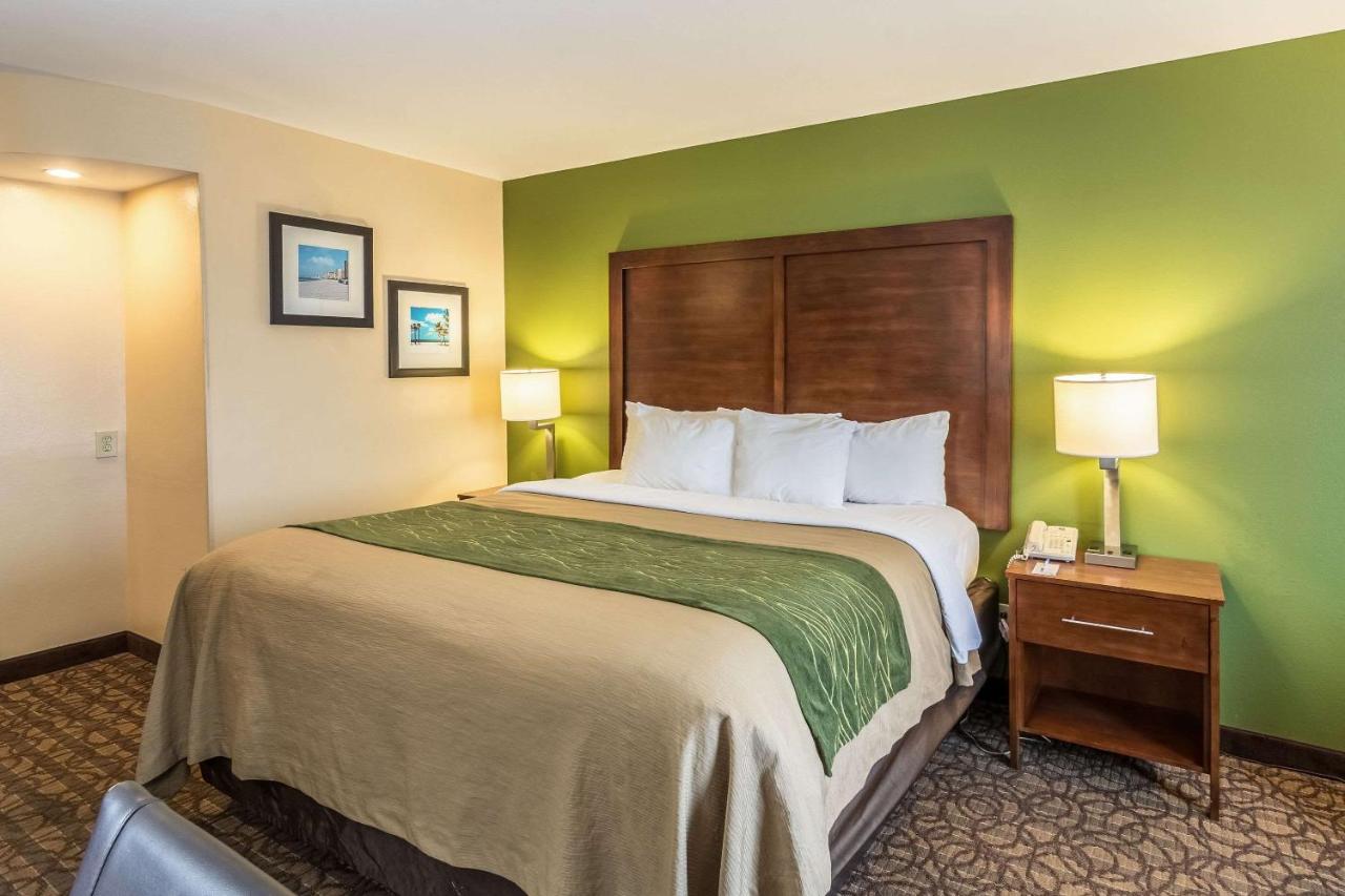 Standard King Room - Non-Smoking at Comfort Inn & Suites Panama City North