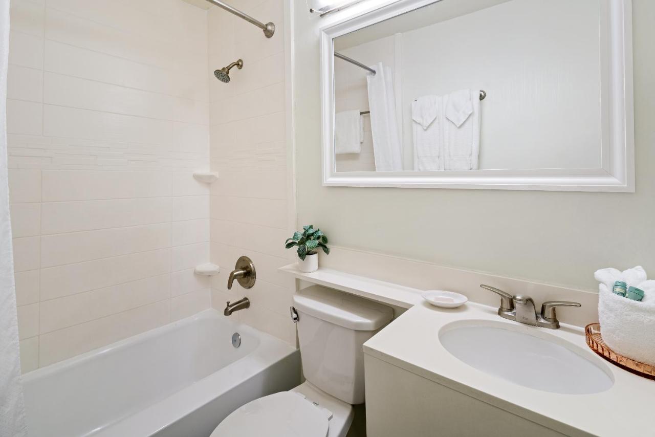 Studio with Queen Bed and Sofa Bed - Non-Smoking at Palm Tree Club Miami Hotel