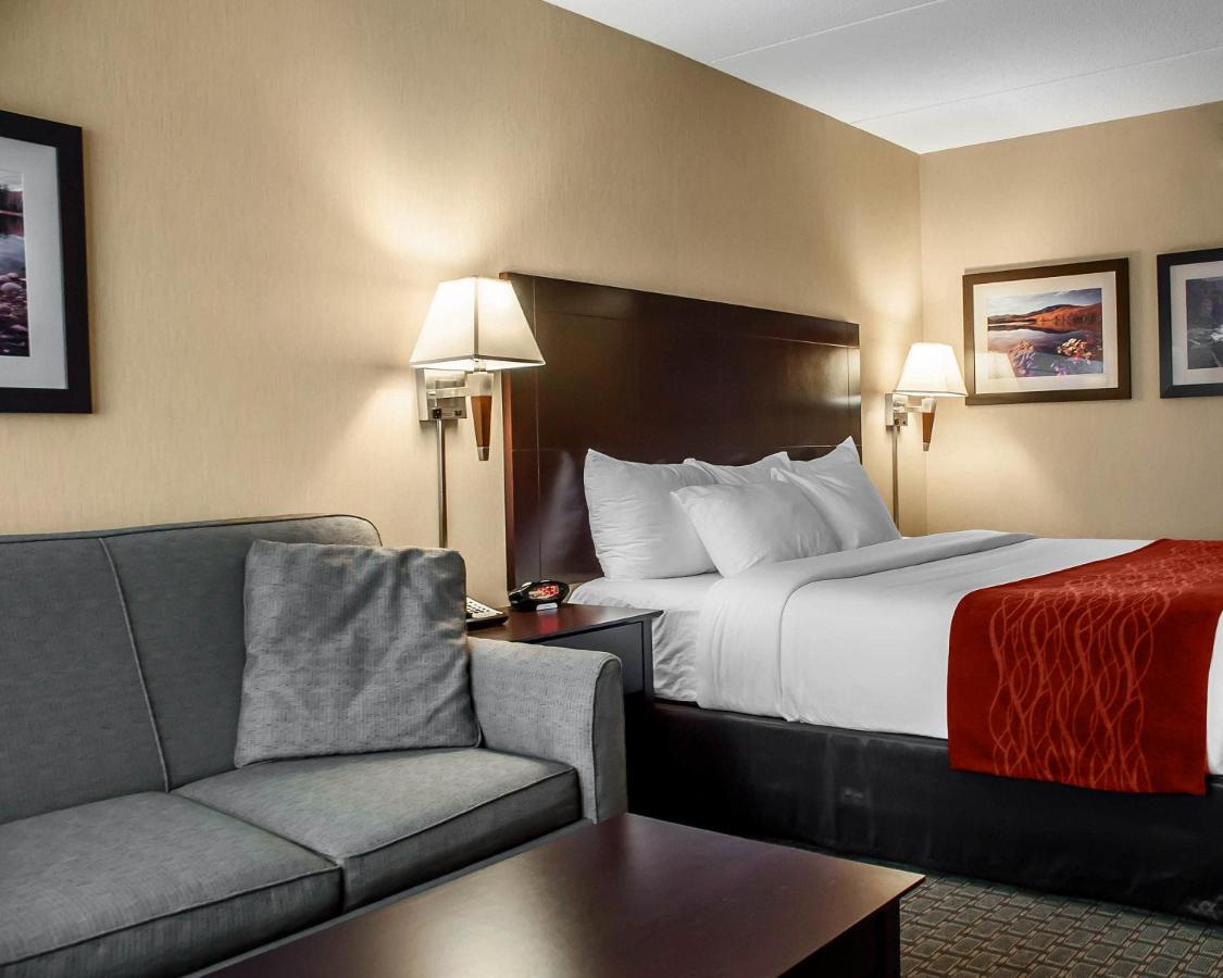 King Suite with Sofa Bed - Non-Smoking at Comfort Inn & Suites Watertown - 1000 Islands