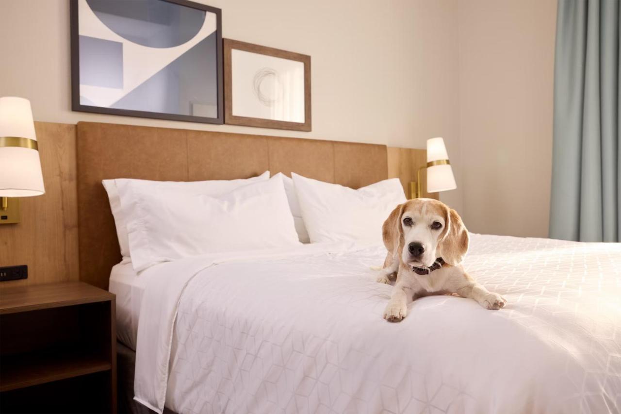  | Staybridge Suites Omaha 80th And Dodge, an IHG Hotel