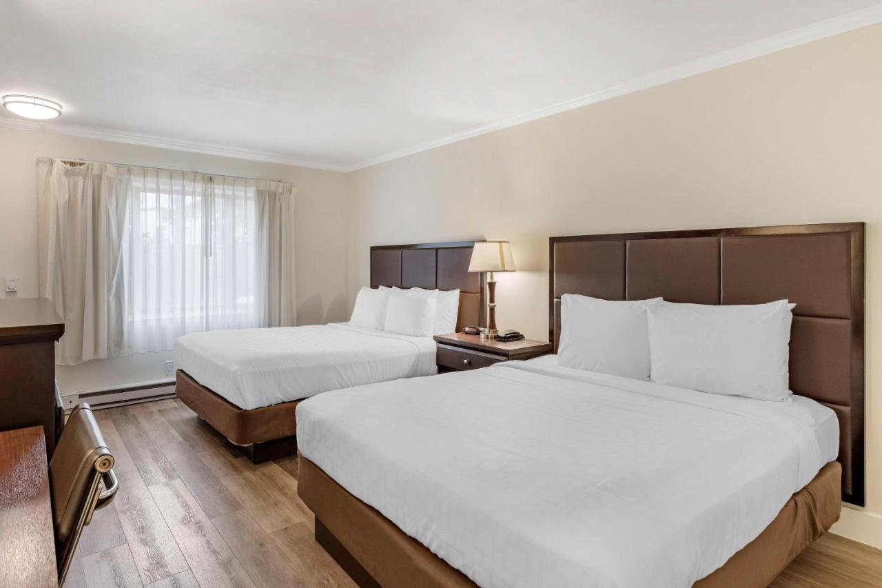 | Best Western Carmel's Town House Lodge