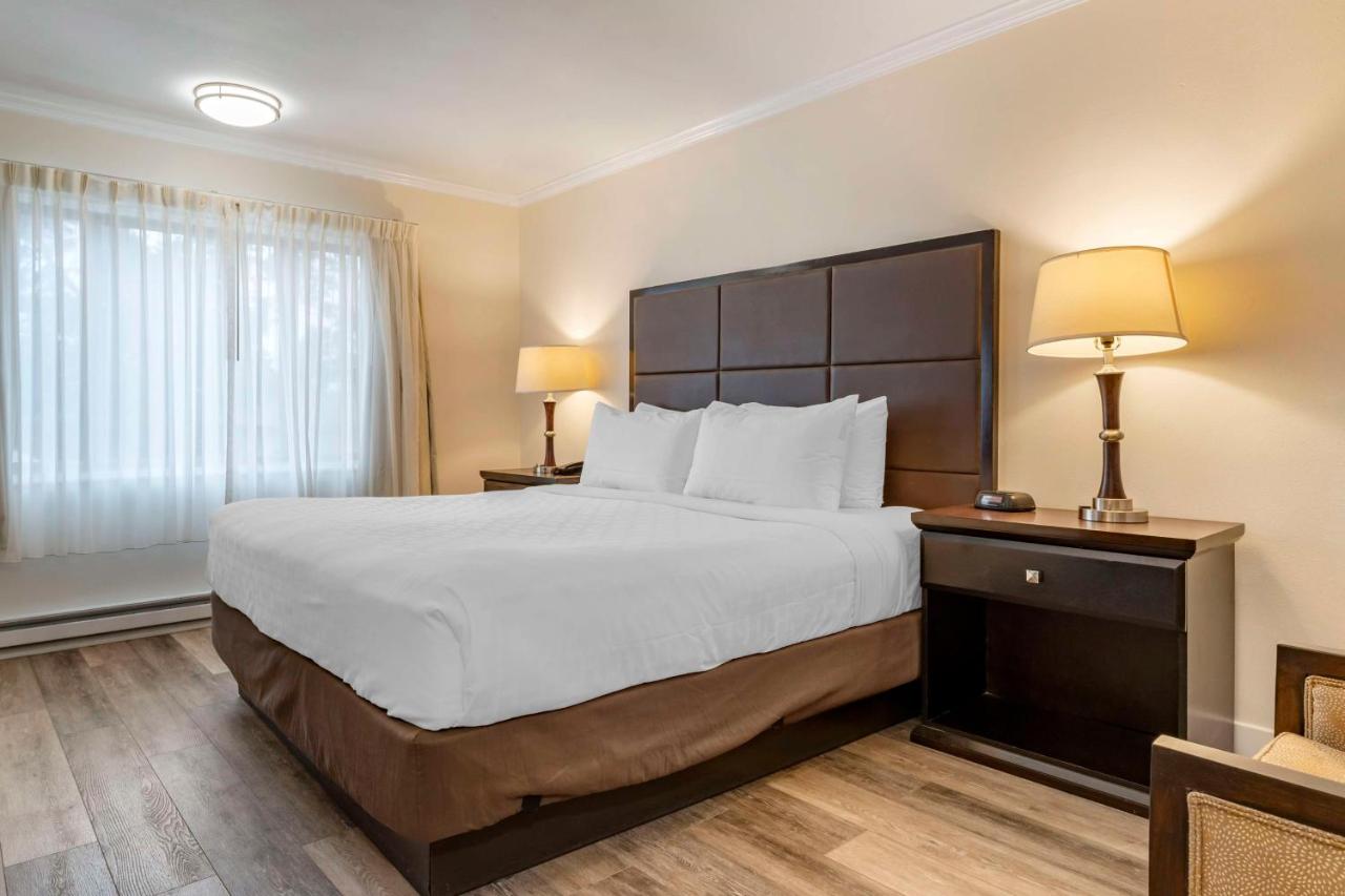 | Best Western Carmel's Town House Lodge