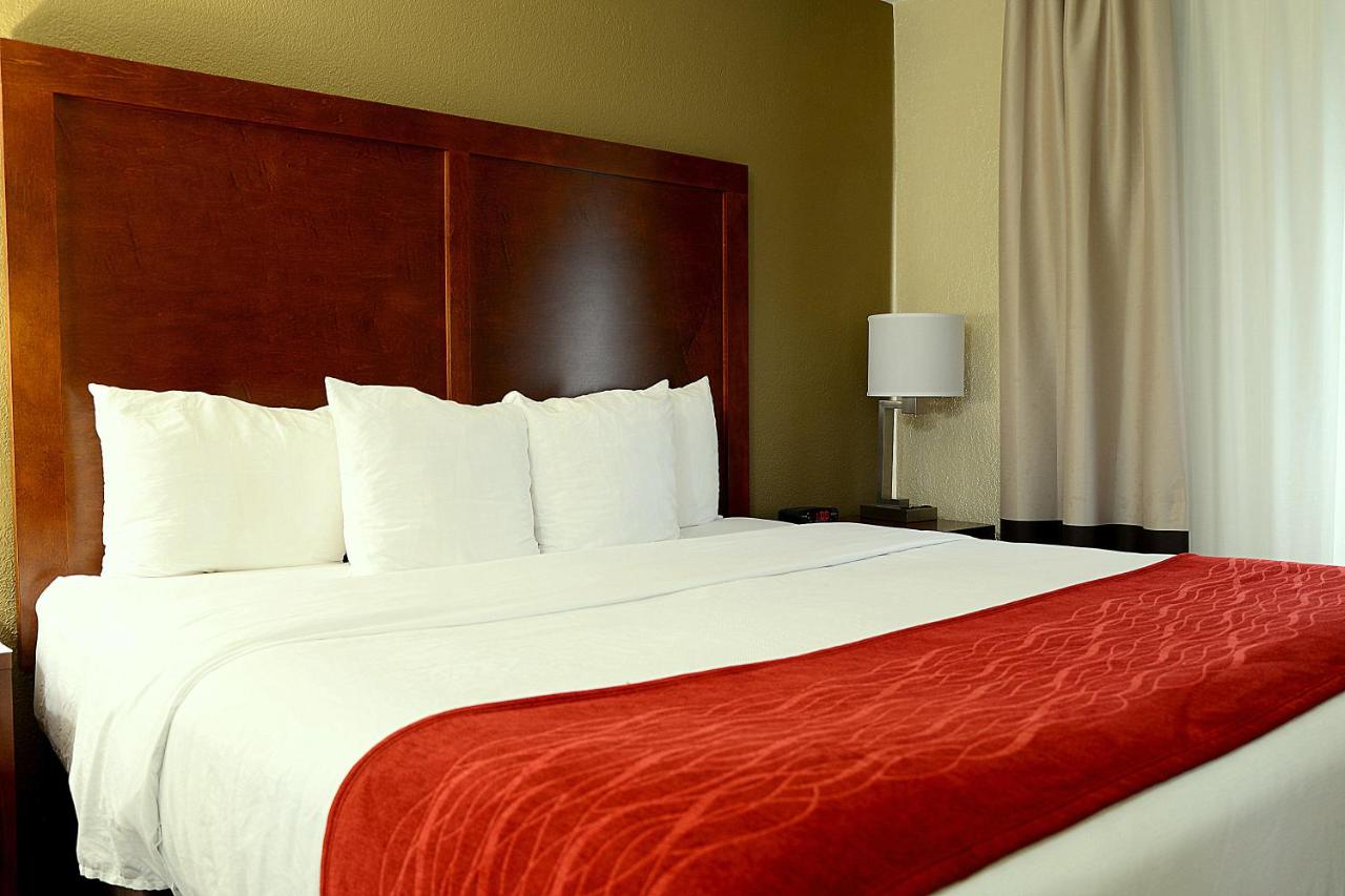 Superior Queen Room with Two Queen Beds - Non-Smoking at Comfort Inn University Durham - Chapel Hill