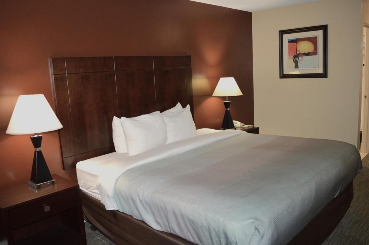 King Room at Quality Inn O'Hare Airport