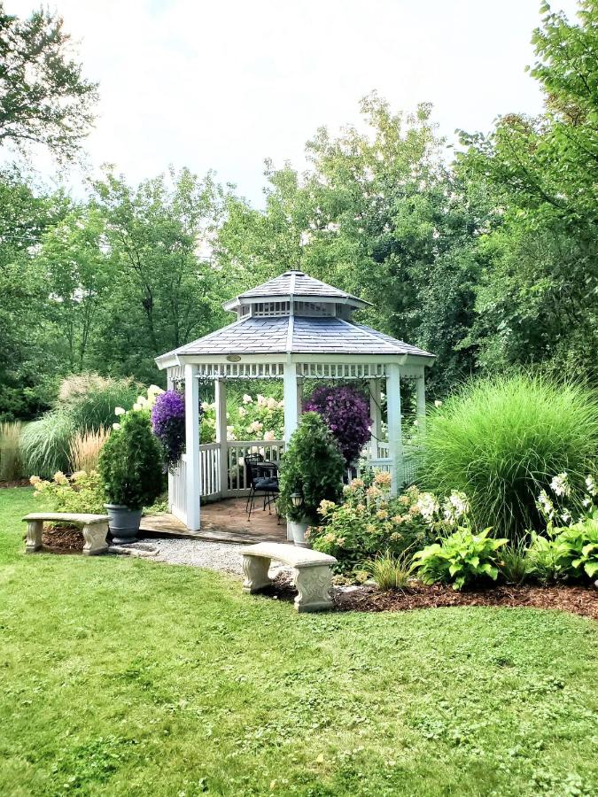 | Lilly Pad