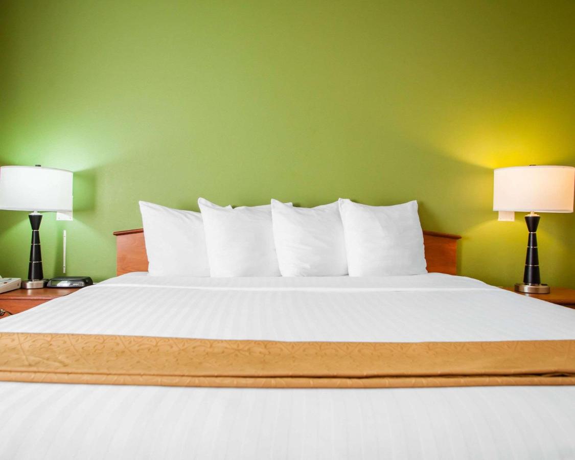 King Room - Non-Smoking at Quality Inn Bolingbrook I-55