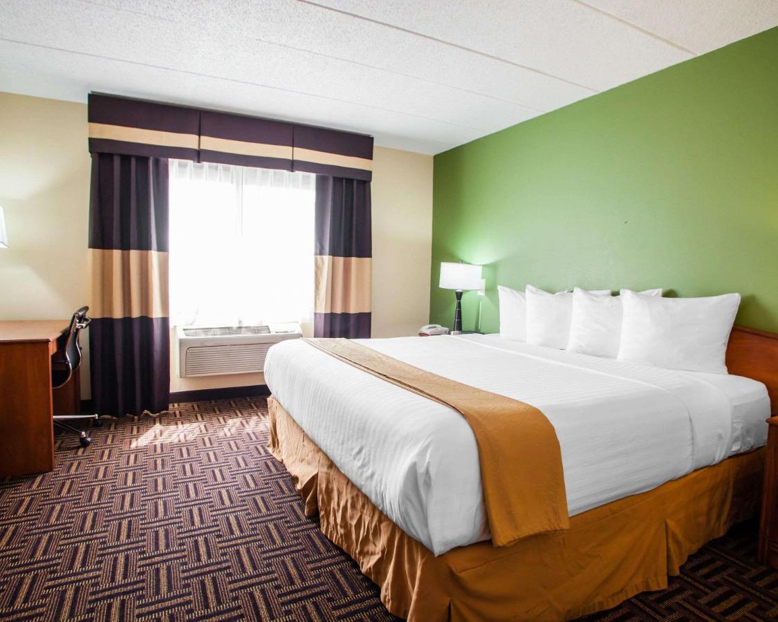 King Room - Non-Smoking at Quality Inn Bolingbrook I-55