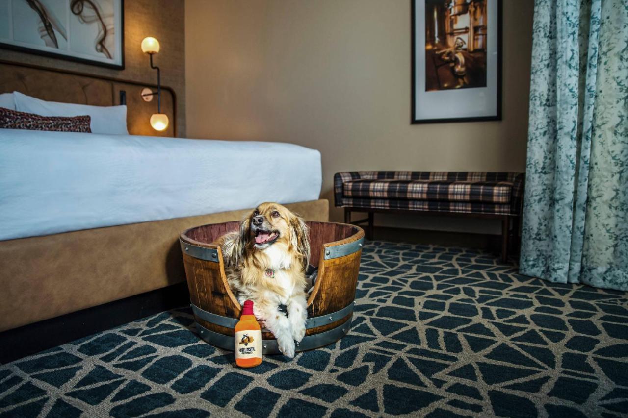 | Hotel Distil, Autograph Collection