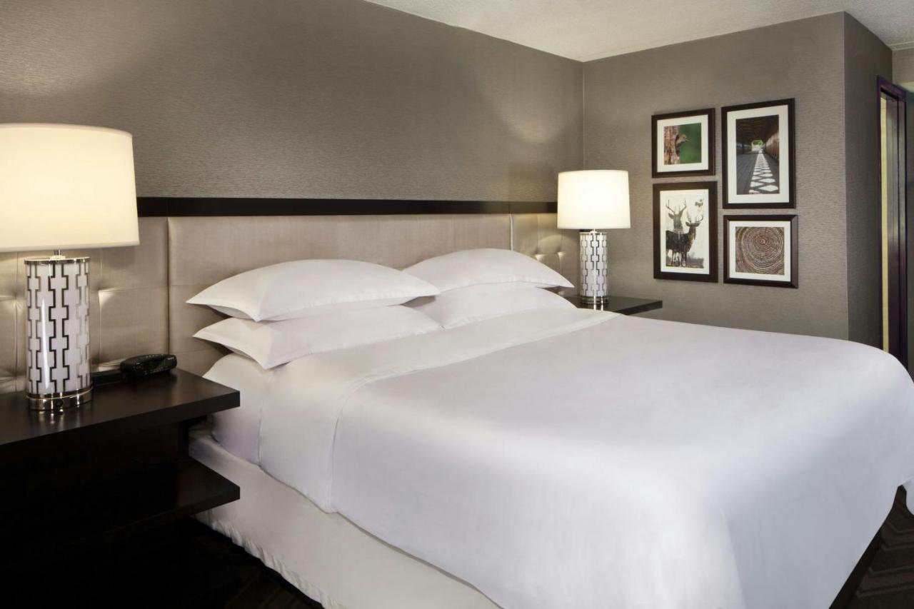Guest Room, 1 King at Sheraton Bucks County Langhorne