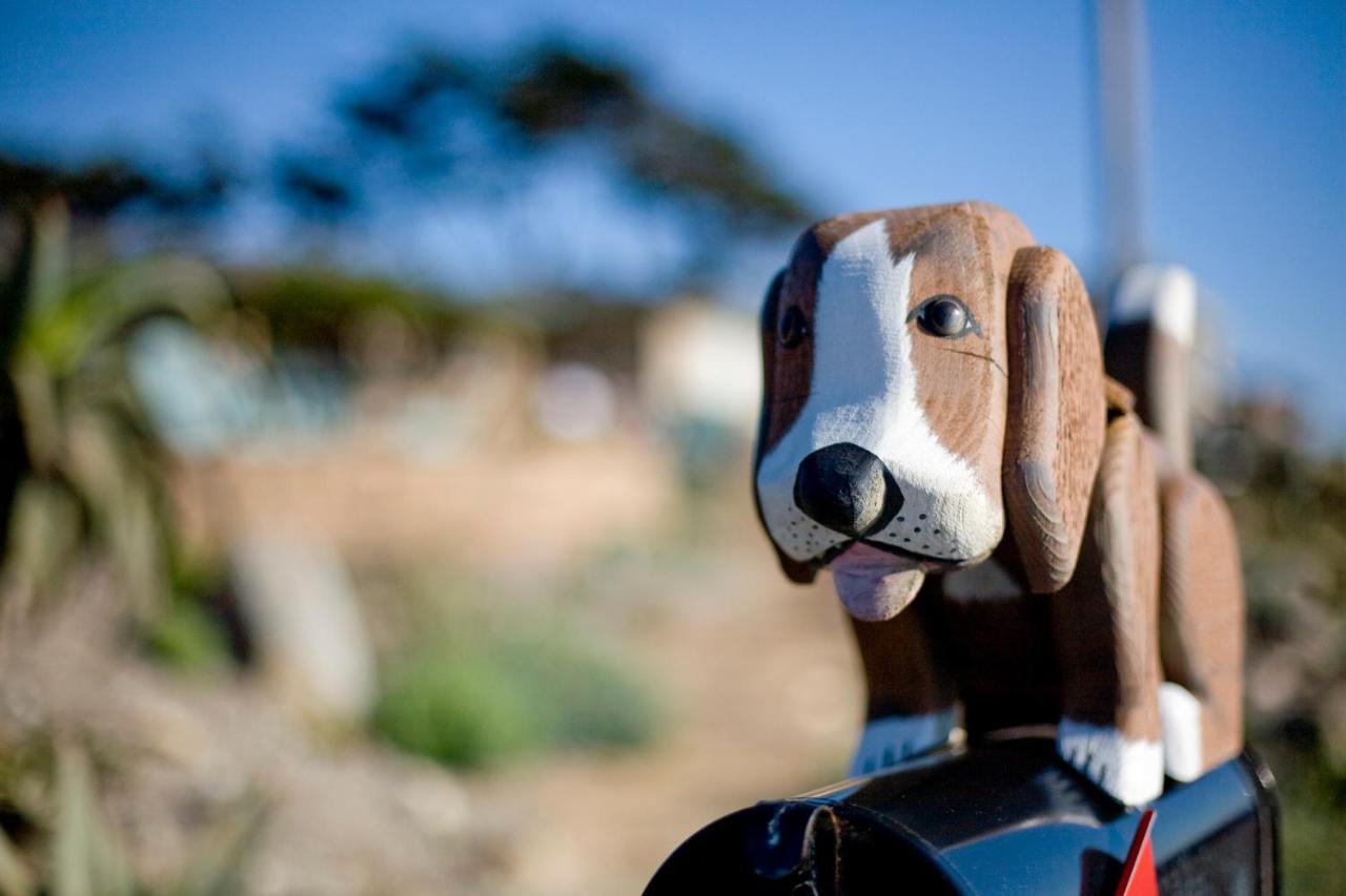 | Cambria Shores Inn