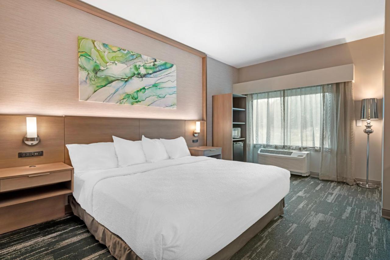 King Room with Roll-In Shower - Disability Access at Best Western Plus Grand Rapids MN