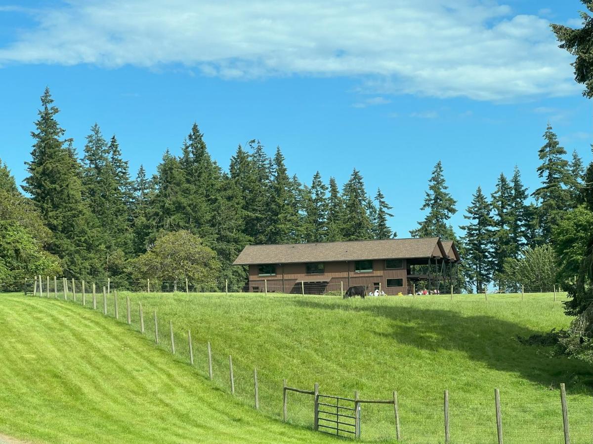 | Comforts of Whidbey