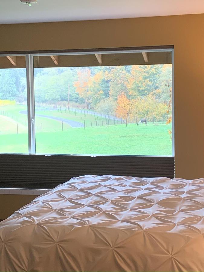 | Comforts of Whidbey