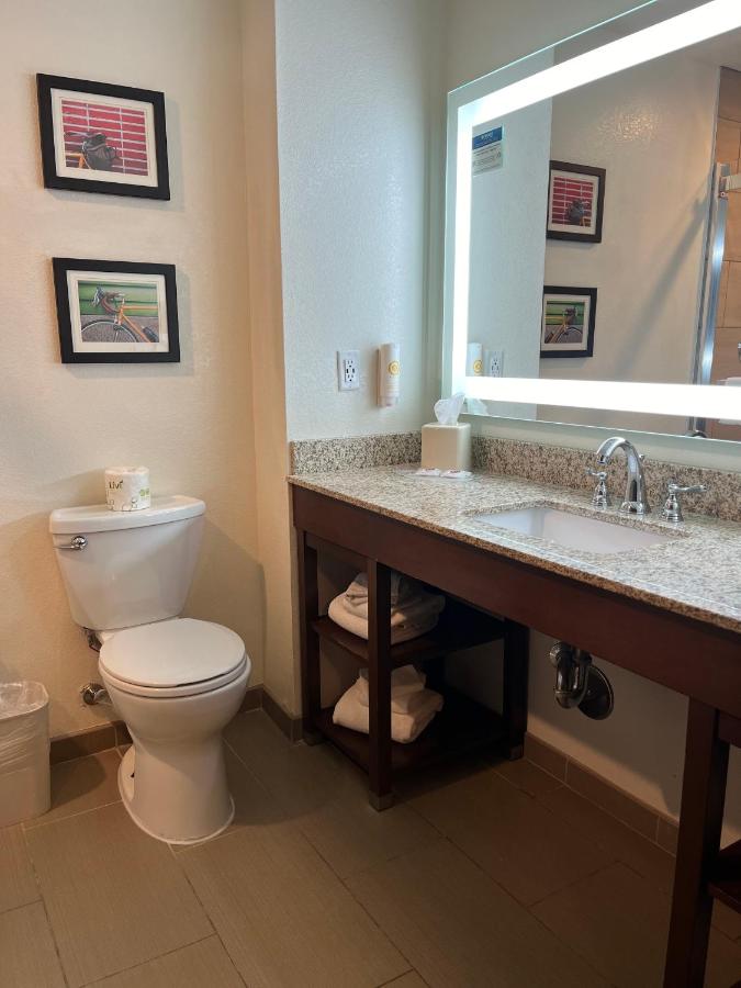 King Suite - Non-Smoking at Comfort Suites Denver International Airport