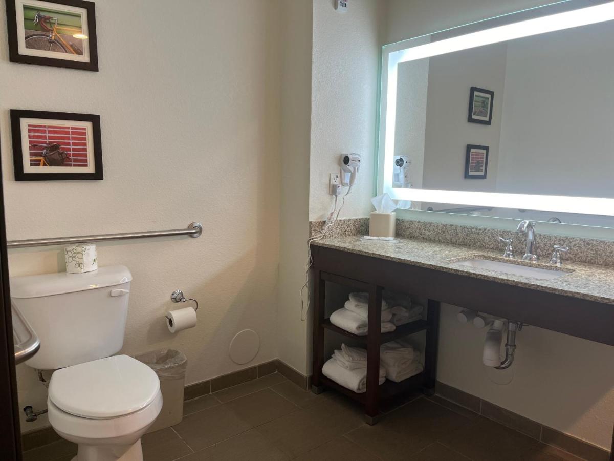 King Suite - Accessible/Non-Smoking at Comfort Suites Denver International Airport