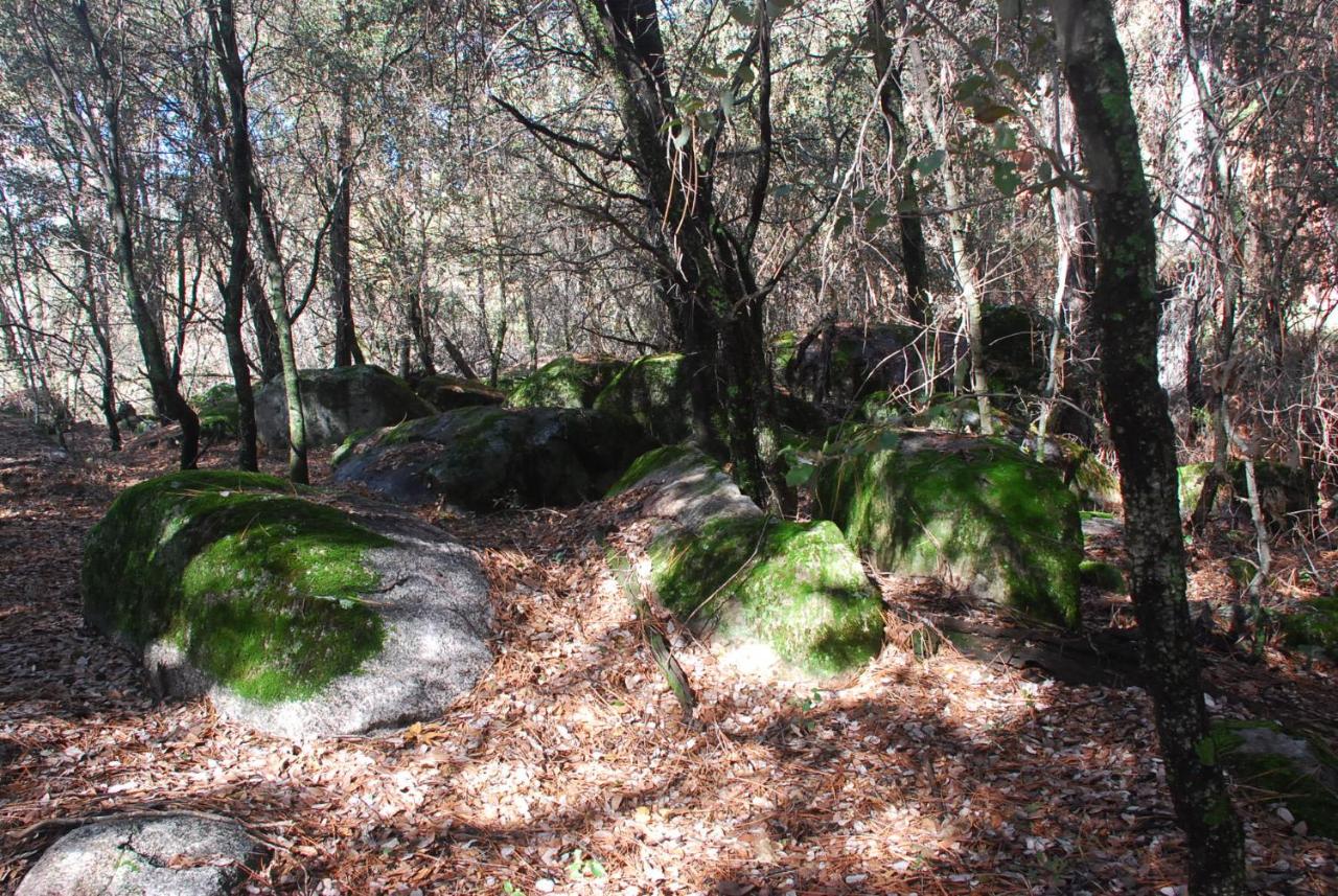 | Sierra Trails Inn