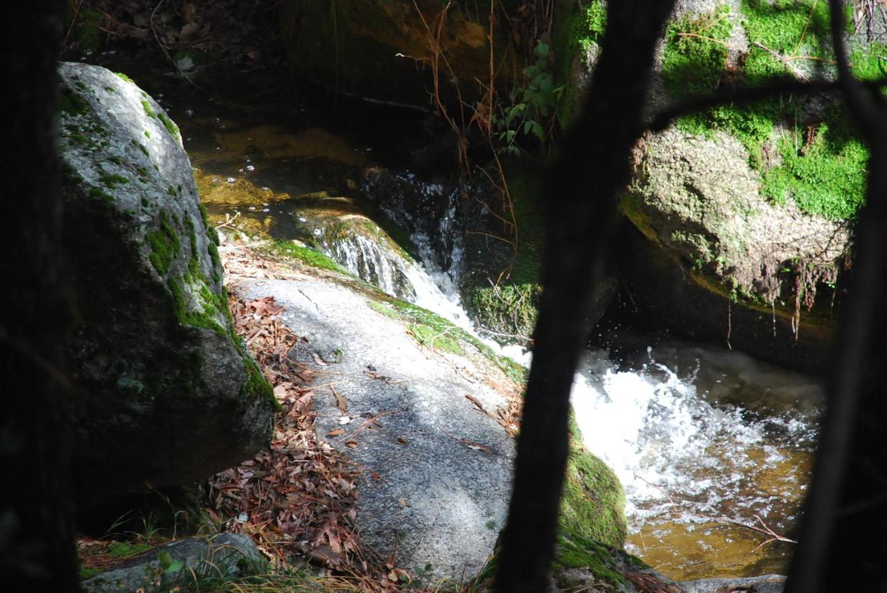 | Sierra Trails Inn