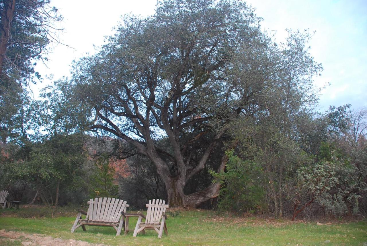 | Sierra Trails Inn
