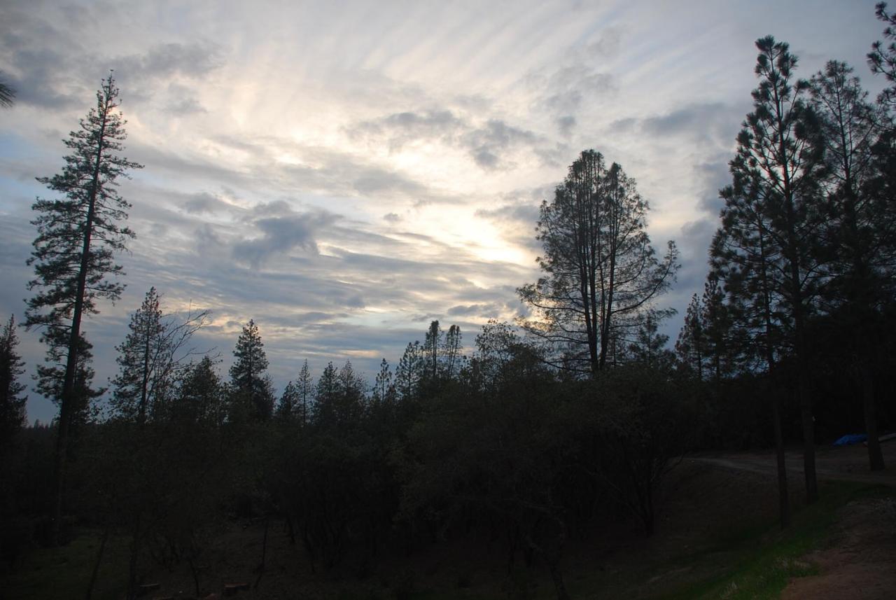 | Sierra Trails Inn