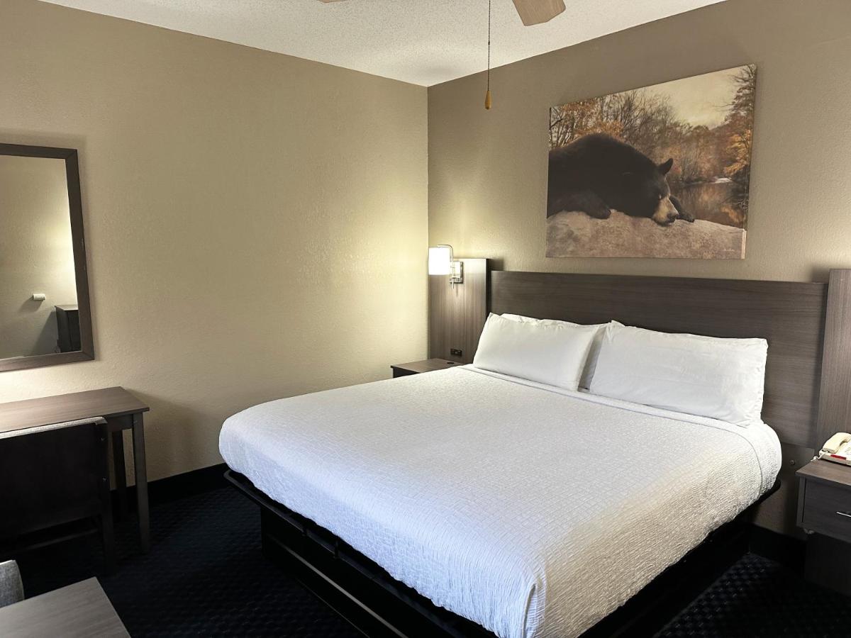 Deluxe King Room - No pets at Sidney James Mountain Lodge